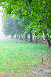 Similar image 2597695