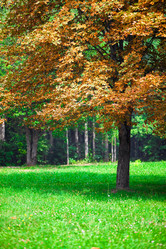 Similar image 2597699