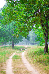 Similar image 2597702