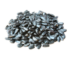 Similar image 2598275