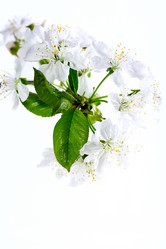 Similar image 2607944