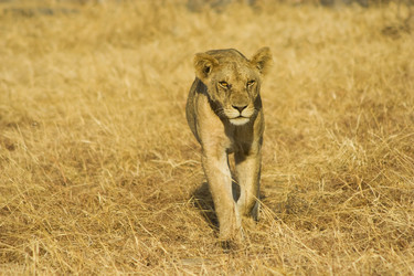 Similar image 2607948