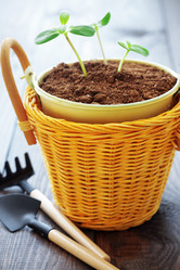 Similar image 2607968