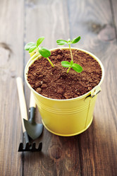 Similar image 2607969