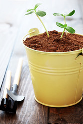 Similar image 2607970