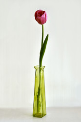 Similar image 2607978