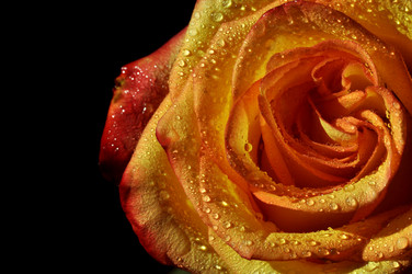 Similar image 2607979