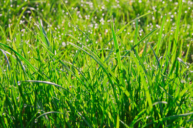 Similar image 2608000