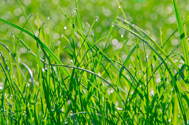 Similar image 2608009