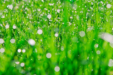 Similar image 2608015