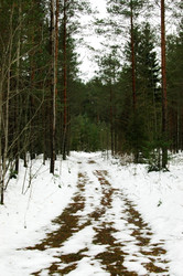 Similar image 2608023