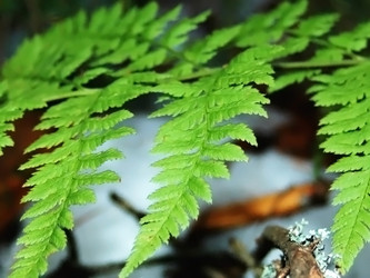 Similar image 2608027