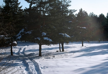 Similar image 2608029