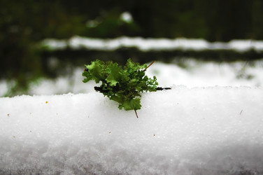 Similar image 2608032