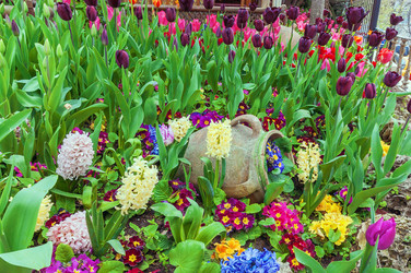 Similar image 2608074