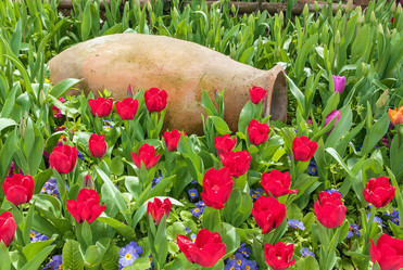 Similar image 2608076