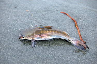 Similar image 2608144