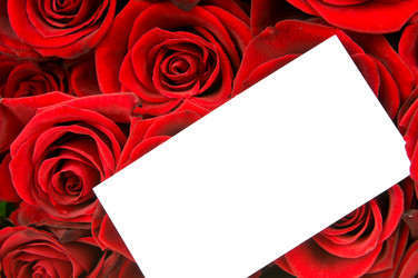 Similar image 2608150