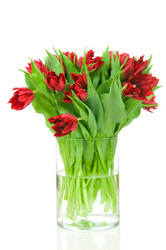 Similar image 2608156