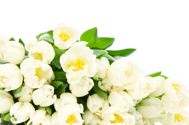 Similar image 2608157