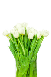 Similar image 2608163