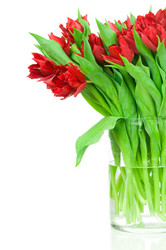 Similar image 2608164