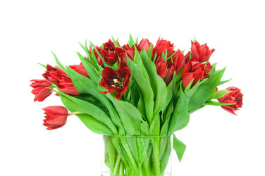 Similar image 2608165