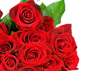 Similar image 2608166