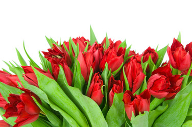 Similar image 2608167