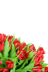 Similar image 2608168