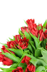 Similar image 2608169