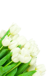 Similar image 2608171