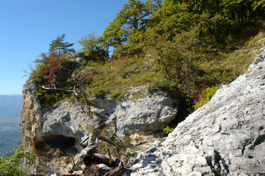 Similar image 2608173