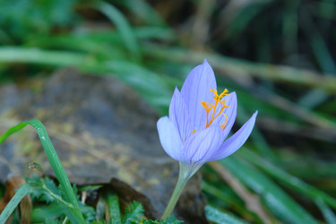 Similar image 2608174