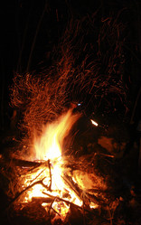 Similar image 2608198