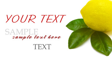 Similar image 2608242