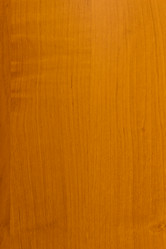 Similar image 2608249