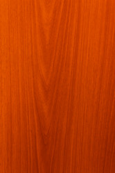 Similar image 2608280