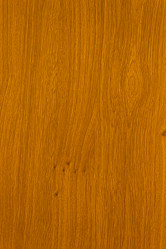 Similar image 2608283