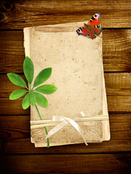 Similar image 2608284