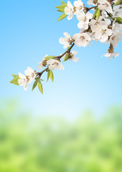 Similar image 2608287