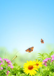 Similar image 2608321