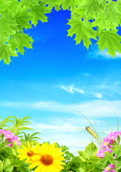 Similar image 2608322