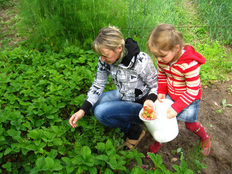 Similar image 2608331