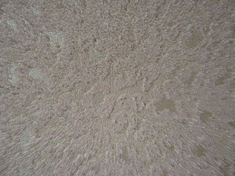 Similar image 2608354