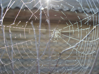 Similar image 2608361