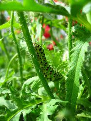 Similar image 2608371