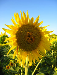 Similar image 2608373