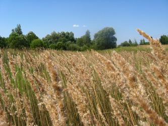 Similar image 2608378