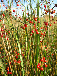 Similar image 2608382